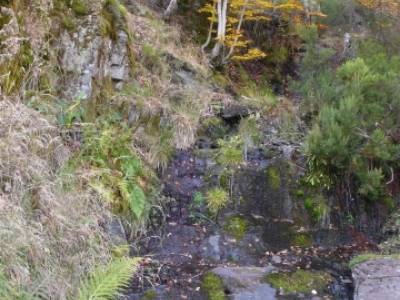 Excursiones y Senderismo, Parque Natural del Hayedo de Tejera Negra; hacer senderismo